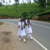 Zdjęcie ze Sri Lanki - Uczennice