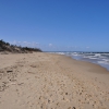 Zdjęcie z Polski - plaża Sobieszewo