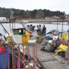 Zdjęcie z Polski - port rybacki - Świbno