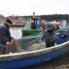 Zdjęcie z Polski - rybacy przy pracy