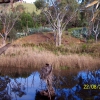 Zdjęcie z Australii - Brzegi rzeki Onkaparinga