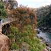 Zdjęcie z Australii - Wawoz Cateract Gorge
