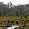 Zdjęcie z Australii - Na szlaku w Cradle...