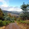 Zdjęcie z Australii - Tasmanskie krajobrazy
