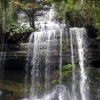 Zdjęcie z Australii - Wodospad Russel Falls