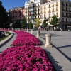 Zdjęcie z Hiszpanii - Kolorowy Madryt