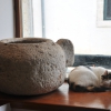 Zdjęcie z Chorwacji - kotek w witrynie sklepowe