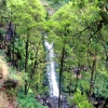 Zdjęcie z Australii - Wodospad Erskine Falls