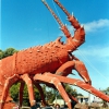 Zdjęcie z Australii - Przed ogromnym homarem