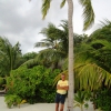 Zdjęcie z Malediw - podtrzymuje palme ;)