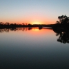 Zdjęcie z Australii - Rzeka Murray kolo Mildura