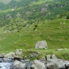 Zdjęcie z Rumunii - Przerwa w Fogaraszach