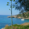 Zdjęcie z Grecji - plaże Pessady