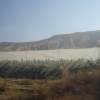 Zdjęcie z Izraelu - Wzgórza Golan