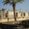 Zdjęcie z Izraelu - Kafarnaum