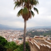 Zdjęcie z Hiszpanii - Widok z zamku Gibralfaro