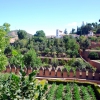 Zdjęcie z Hiszpanii - Widok na ogrody Alhambry