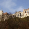 Zdjęcie z Polski - zamek w Janowcu