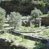 Zdjęcie z Grecji - Ruiny Samarii