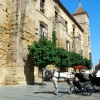 Zdjęcie z Hiszpanii - Kordoba - z prawej