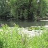 Zdjęcie z Wielkiej Brytanii - Rzeka Avon