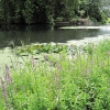 Zdjęcie z Wielkiej Brytanii - Rzeka Avon