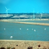 Zdjęcie z Hiszpanii - Flamingi i elektrowniwe