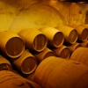 Zdjęcie z Hiszpanii - Piwnica winiarni 