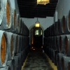 Zdjęcie z Hiszpanii - Piwnice winiarni 