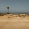 Zdjęcie z Tunezji - Krajobraz Djerby.