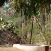 Zdjęcie z Tunezji - Studnia w gaju palmowym.