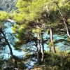 Zdjęcie z Chorwacji - Słone jezioro- Mljet