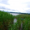 Zdjęcie z Polski - Jezioro Woszczelskie