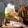 Zdjęcie z Australii - Jaskinia Mokra - Wet Cave