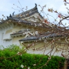 Zdjęcie z Japonii - Zamek Himeji