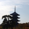 Zdjęcie z Japonii - Swiątynia Toji, Kyoto