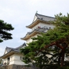 Zdjęcie z Japonii - Zamek Odawara