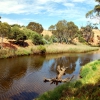 Zdjęcie z Australii - Onkaparinga River