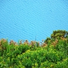 Zdjęcie z Australii - Blekitne wody jeziora