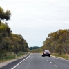 Zdjęcie z Australii - W drodze do Naracoorte