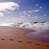 Zdjęcie ze Stanów Zjednoczonych - sandy beach, rano