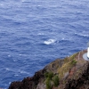 Zdjęcie ze Stanów Zjednoczonych - latarnia morska w makapu