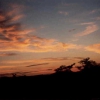 Zdjęcie z Republiki Półudniowej Afryki - Kruger by night
