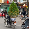 Zdjęcie z Wietnamu - hanoi