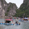 Zdjęcie z Wietnamu - wioska na wodzie, halong