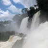 Zdjęcie z Argentyny - Park Nar. Iguazu