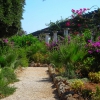 Zdjęcie z Grecji - Ogród Termy Kalithea