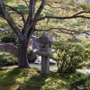 Zdjęcie z Japonii - Pałacowe ogrody