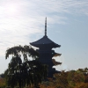 Zdjęcie z Japonii - Pagoda Toji