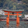 Zdjęcie z Japonii - Torii Itsukushima
